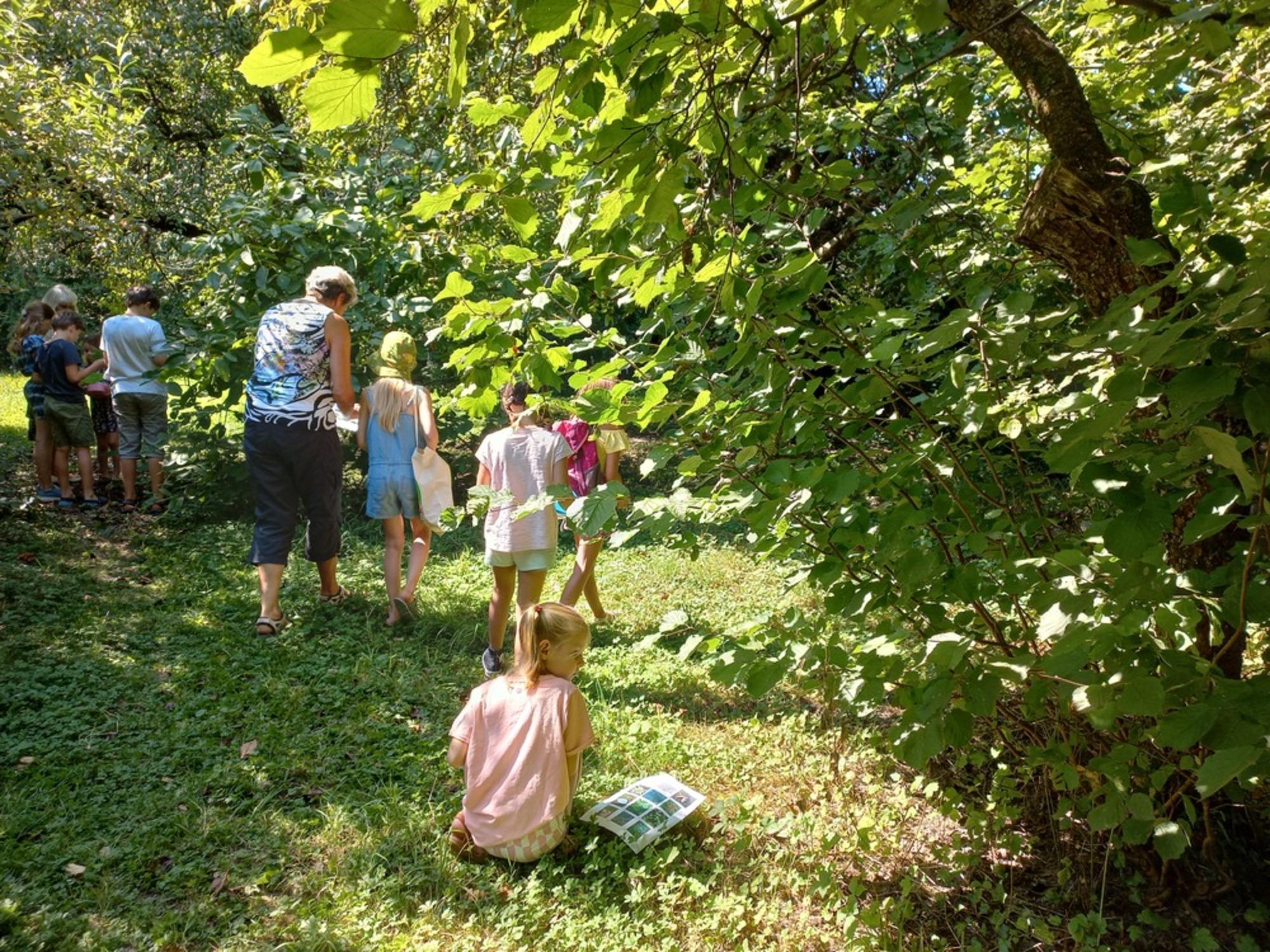 Das große Krabbeln – Willkommen zur Insektenparty!